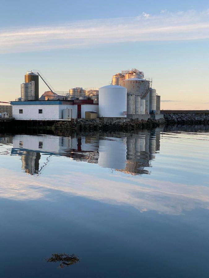 Nordlandshuset "Lottebakken", Ballstad In Lofoten Exterior photo